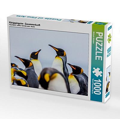 Königspinguine - Zusammenkunft (Puzzle)