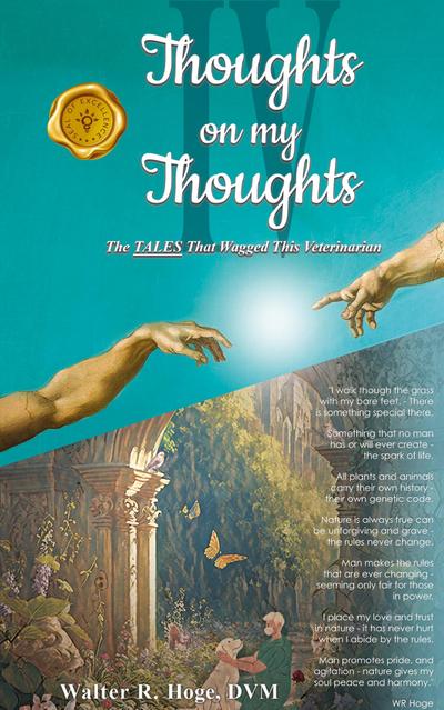 Thoughts on my Thoughts IV