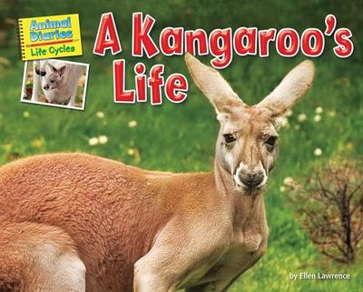A Kangaroo’s Life