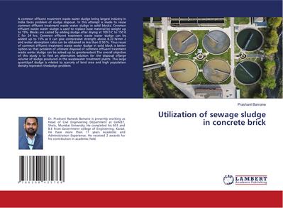 Utilization of sewage sludge in concrete brick