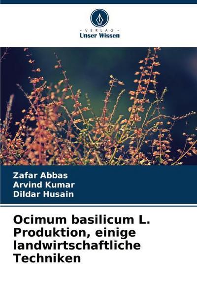 Ocimum basilicum L. Produktion, einige landwirtschaftliche Techniken