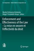Enforcement and Effectiveness of the Law - La mise