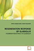 REGENERATION RESPONSE OF GLADIOLUS