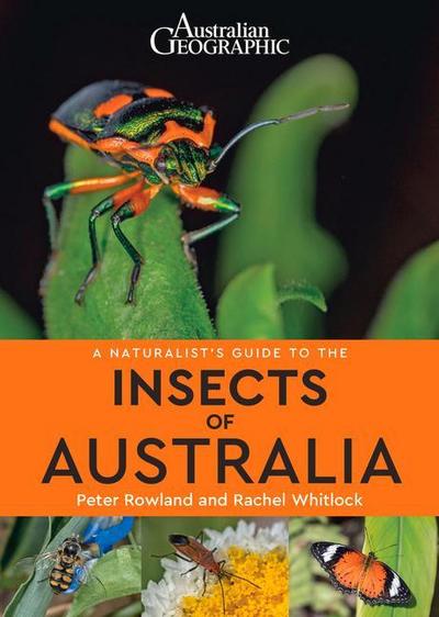 A Naturalist’s Guide to Insects of Australia