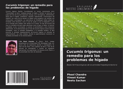 Cucumis trigonus: un remedio para los problemas de hígado