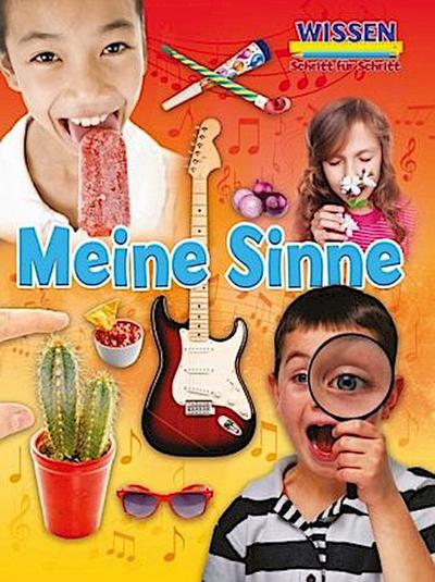 Meine Sinne