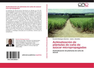 Aclimatización de plántulas de caña de azúcar micropropagadas