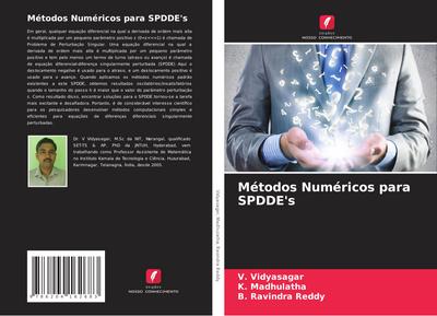 Métodos Numéricos para SPDDE’s