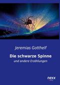 Die schwarze Spinne