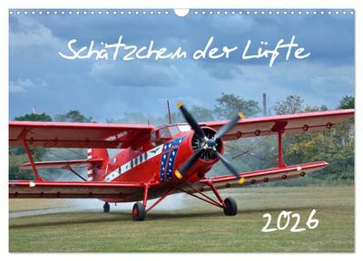 Schätzchen der Lüfte (Wandkalender 2026 DIN A3 quer), CALVENDO Monatskalender
