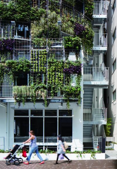 Collective Housing