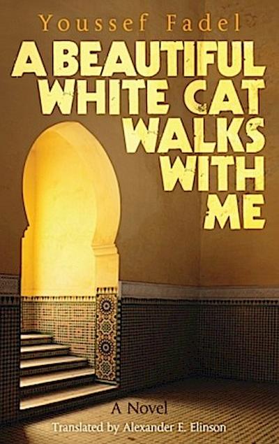 A Beautiful White Cat Walks with Me