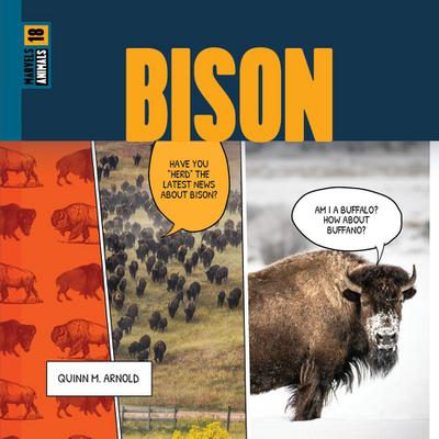 Bison