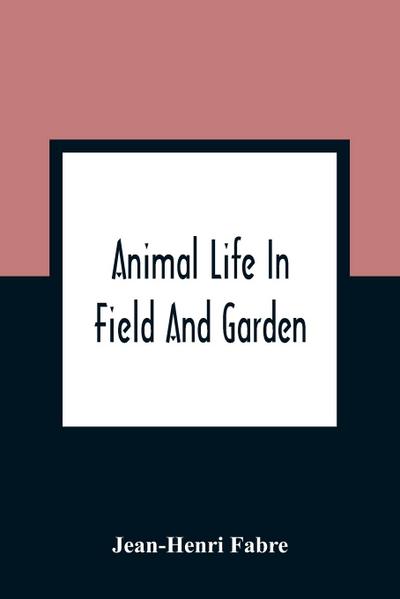 Animal Life In Field And Garden