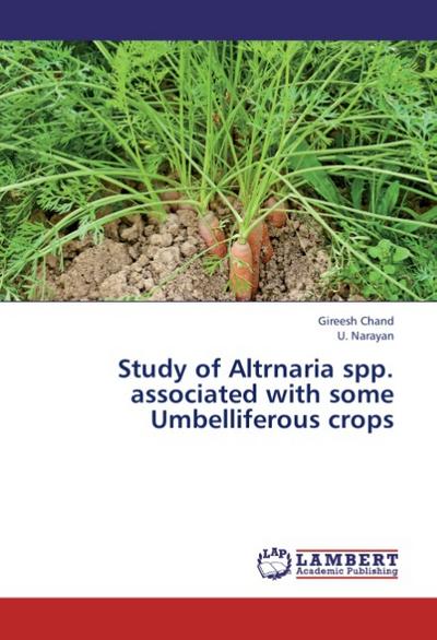 Study of Altrnaria spp. associated with some Umbelliferous crops