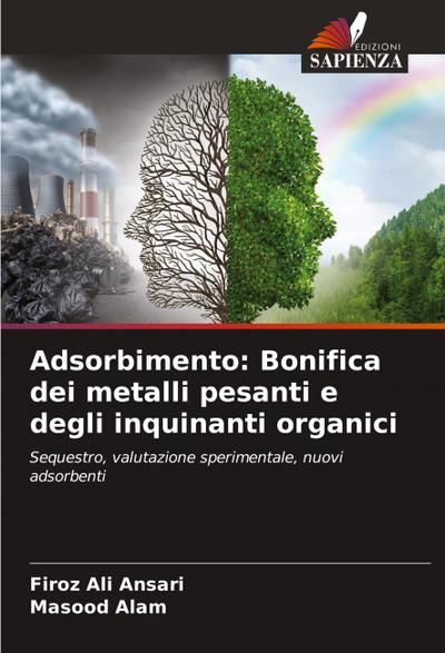 Adsorbimento: Bonifica dei metalli pesanti e degli inquinanti organici