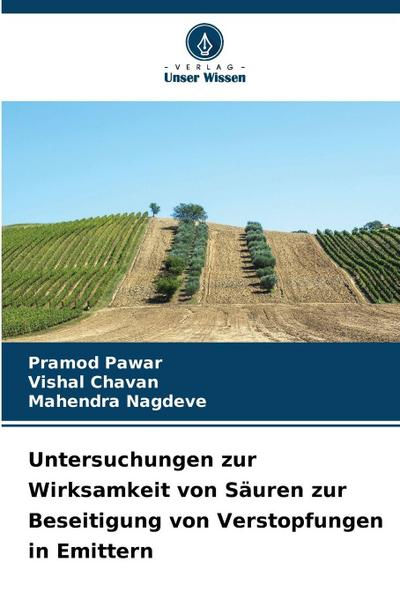 Untersuchungen zur Wirksamkeit von Säuren zur Beseitigung von Verstopfungen in Emittern