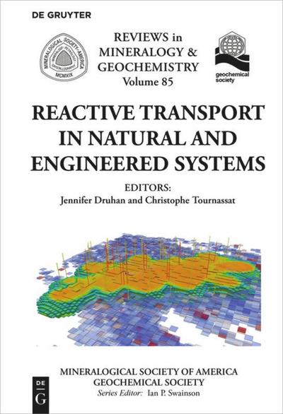 Reactive Transport in Natural and Engineered Systems