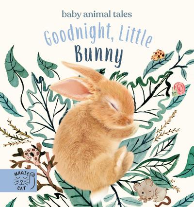 Goodnight, Little Bunny