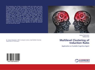 Multilevel Clustering of Induction Rules