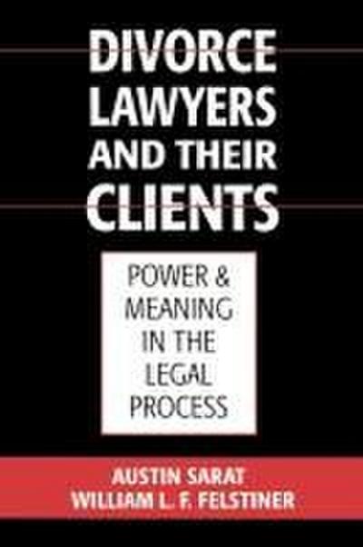 Divorce Lawyers and Their Clients