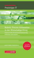 Robotic Process Automation in der Wirtschaftsprüfu