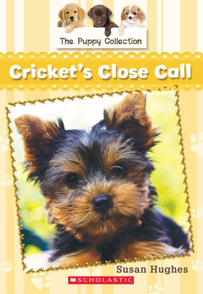 Puppy Collection #6: Cricket’s Close Call