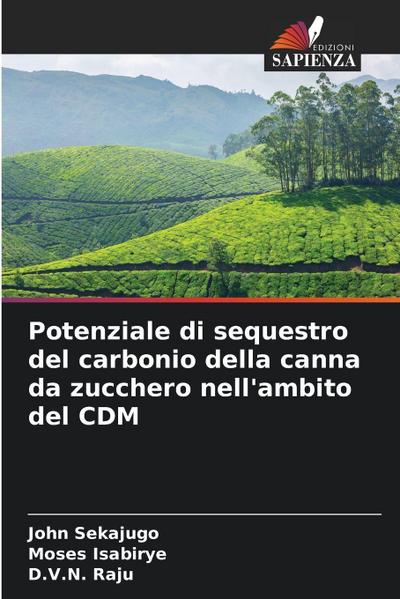 Potenziale di sequestro del carbonio della canna da zucchero nell’ambito del CDM