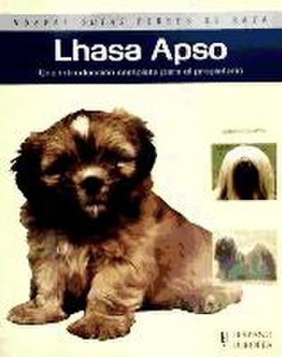 Lhasa apso