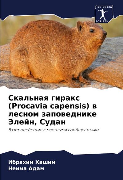 Skal’naq girax (Procavia capensis) w lesnom zapowednike Jelejn, Sudan