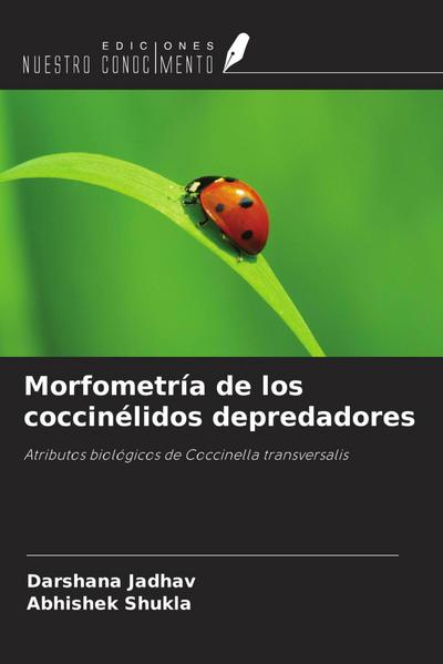 Morfometría de los coccinélidos depredadores