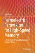 Ferroelectric Perovskites for High-Speed Memory