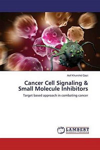 Cancer Cell Signaling & Small Molecule Inhibitors