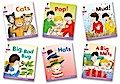 Hunt, R: Oxford Reading Tree: Level 1+: Floppy’s Phonics Fic (Floppy’s Phonics Readers)
