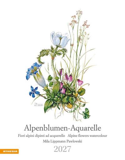 Alpenblumen-Aquarelle Kalender 2027 