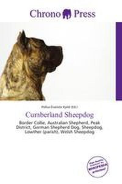 Cumberland Sheepdog
