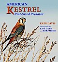 American Kestrel
