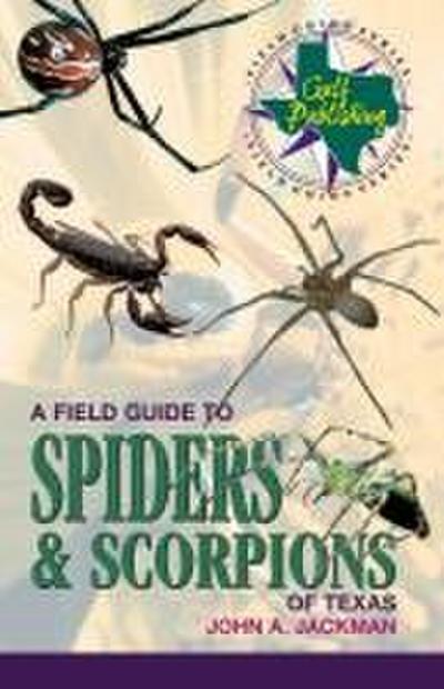 A Field Guide to Spiders & Scorpions of Texas