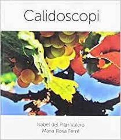 Calidoscopi
