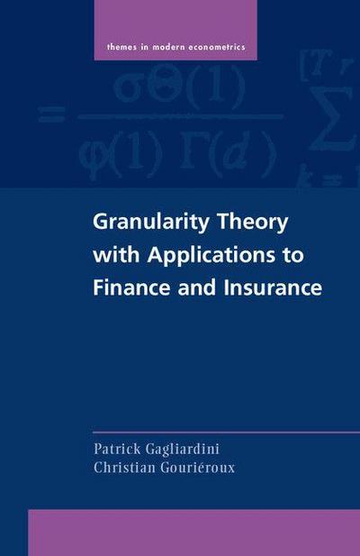 Granularity Theory with Applications to Finance and Insurance