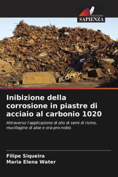 Inibizione della corrosione in piastre di acciaio al carbonio 1020