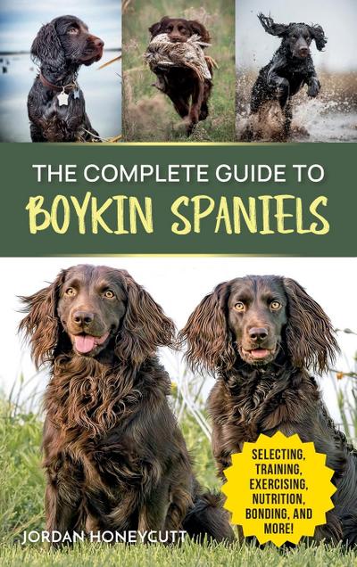 The Complete Guide to Boykin Spaniels