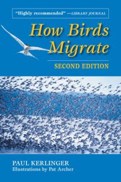 How Birds Migrate