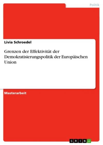 Grenzen der Effektivität der Demokratisierungspolitik der Europäischen Union