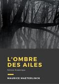 L’ombre des ailes