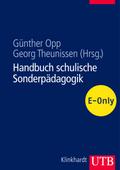 Handbuch schulische Sonderpädagogik