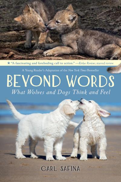 Beyond Words: What Wolves and Dogs Think and Feel (a Young Reader’s Adaptation)
