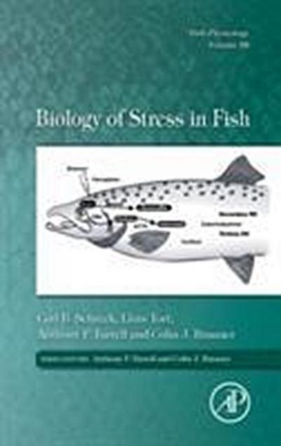 Biology of Stress in Fish