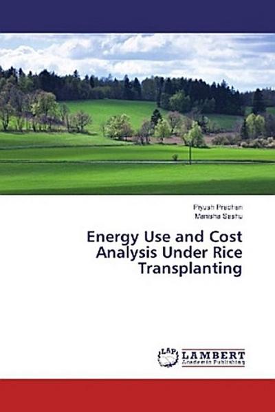 Energy Use and Cost Analysis Under Rice Transplanting