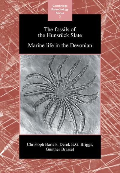 The Fossils of the Hunsruck Slate